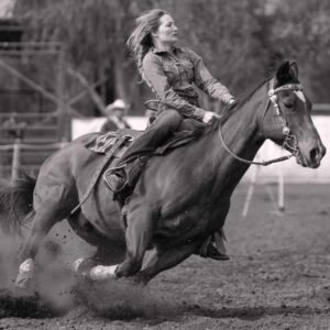 Clinique vétérinaire équine du Harfang cowboy reining cheval en santé