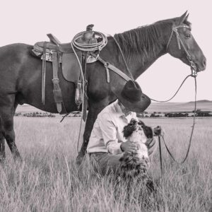 Clinique vétérinaire équine du Harfang cowboy cheval en santé